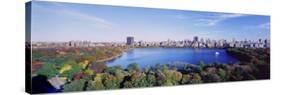 Central Park, Manhattan, New York, USA-null-Stretched Canvas