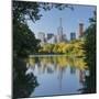 Central Park, Manhattan, New York-Rainer Mirau-Mounted Photographic Print