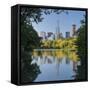 Central Park, Manhattan, New York-Rainer Mirau-Framed Stretched Canvas