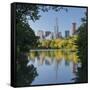 Central Park, Manhattan, New York-Rainer Mirau-Framed Stretched Canvas