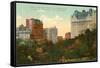 Central Park near Entrance, New York City-null-Framed Stretched Canvas
