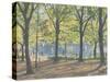 Central Park,New York, 2010-Julian Barrow-Stretched Canvas