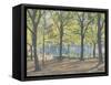Central Park,New York, 2010-Julian Barrow-Framed Stretched Canvas
