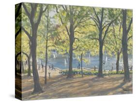 Central Park,New York, 2010-Julian Barrow-Stretched Canvas