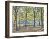 Central Park,New York, 2010-Julian Barrow-Framed Giclee Print