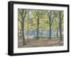 Central Park,New York, 2010-Julian Barrow-Framed Giclee Print