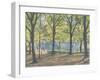 Central Park,New York, 2010-Julian Barrow-Framed Giclee Print