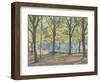 Central Park,New York, 2010-Julian Barrow-Framed Giclee Print