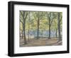 Central Park,New York, 2010-Julian Barrow-Framed Giclee Print