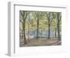 Central Park,New York, 2010-Julian Barrow-Framed Giclee Print