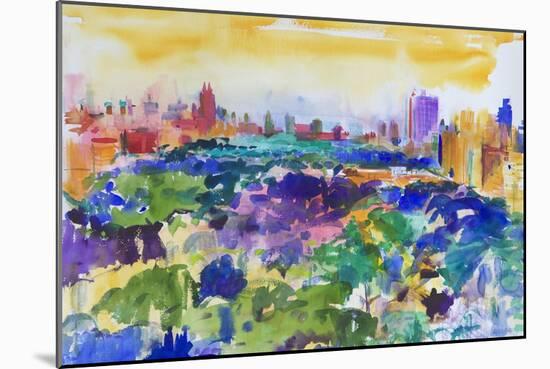 Central Park, New York, 2011-Peter Graham-Mounted Giclee Print