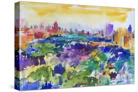 Central Park, New York, 2011-Peter Graham-Stretched Canvas