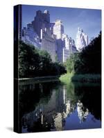 Central Park, New York City, New York-Peter Adams-Stretched Canvas