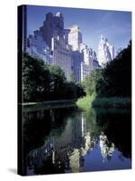 Central Park, New York City, New York-Peter Adams-Stretched Canvas