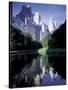 Central Park, New York City, New York-Peter Adams-Stretched Canvas