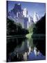 Central Park, New York City, New York-Peter Adams-Mounted Photographic Print