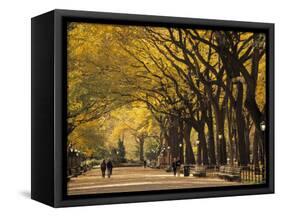 Central Park, New York City, Ny, USA-Walter Bibikow-Framed Stretched Canvas