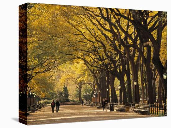 Central Park, New York City, Ny, USA-Walter Bibikow-Stretched Canvas