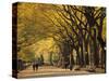 Central Park, New York City, Ny, USA-Walter Bibikow-Stretched Canvas