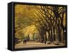 Central Park, New York City, Ny, USA-Walter Bibikow-Framed Stretched Canvas