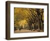 Central Park, New York City, Ny, USA-Walter Bibikow-Framed Photographic Print