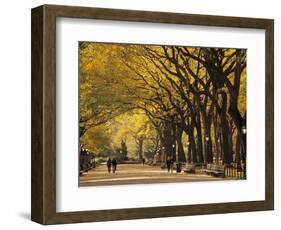 Central Park, New York City, Ny, USA-Walter Bibikow-Framed Photographic Print