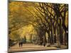 Central Park, New York City, Ny, USA-Walter Bibikow-Mounted Photographic Print