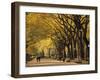 Central Park, New York City, Ny, USA-Walter Bibikow-Framed Photographic Print