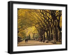 Central Park, New York City, Ny, USA-Walter Bibikow-Framed Photographic Print