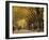 Central Park, New York City, Ny, USA-Walter Bibikow-Framed Photographic Print