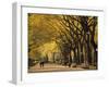 Central Park, New York City, Ny, USA-Walter Bibikow-Framed Photographic Print