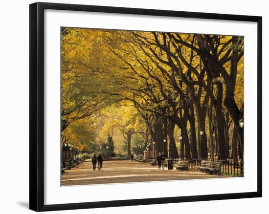 Central Park, New York City, Ny, USA-Walter Bibikow-Framed Photographic Print