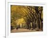 Central Park, New York City, Ny, USA-Walter Bibikow-Framed Photographic Print