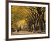 Central Park, New York City, Ny, USA-Walter Bibikow-Framed Photographic Print