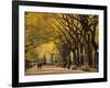 Central Park, New York City, Ny, USA-Walter Bibikow-Framed Photographic Print