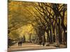 Central Park, New York City, Ny, USA-Walter Bibikow-Mounted Photographic Print
