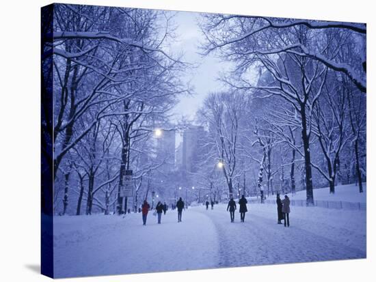 Central Park, New York City, Ny, USA-Walter Bibikow-Stretched Canvas