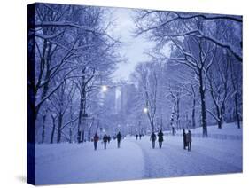 Central Park, New York City, Ny, USA-Walter Bibikow-Stretched Canvas