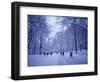 Central Park, New York City, Ny, USA-Walter Bibikow-Framed Photographic Print