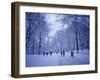 Central Park, New York City, Ny, USA-Walter Bibikow-Framed Photographic Print