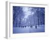 Central Park, New York City, Ny, USA-Walter Bibikow-Framed Photographic Print