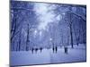 Central Park, New York City, Ny, USA-Walter Bibikow-Mounted Photographic Print