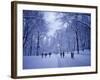 Central Park, New York City, Ny, USA-Walter Bibikow-Framed Photographic Print