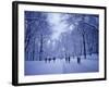 Central Park, New York City, Ny, USA-Walter Bibikow-Framed Photographic Print