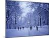 Central Park, New York City, Ny, USA-Walter Bibikow-Mounted Photographic Print