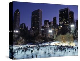 Central Park, New York City, Ny, USA-Walter Bibikow-Stretched Canvas