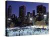 Central Park, New York City, Ny, USA-Walter Bibikow-Stretched Canvas