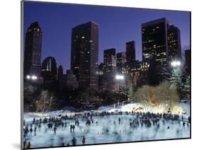 Central Park, New York City, Ny, USA-Walter Bibikow-Mounted Photographic Print