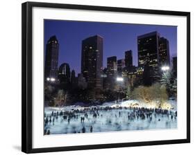 Central Park, New York City, Ny, USA-Walter Bibikow-Framed Photographic Print