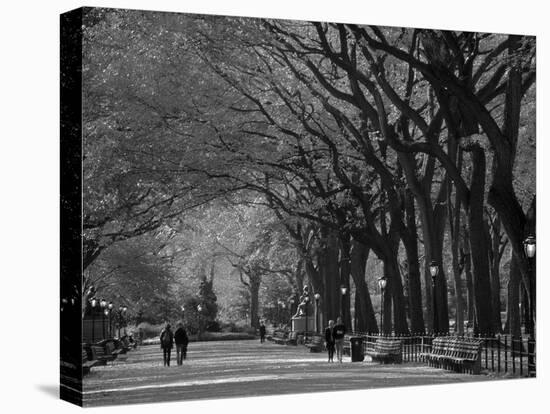 Central Park, New York City, Ny, USA-Walter Bibikow-Stretched Canvas